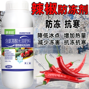 辣椒防冻剂辣椒防寒抗冻剂辣椒专用叶面肥解冻害抗低温辣椒防冻液