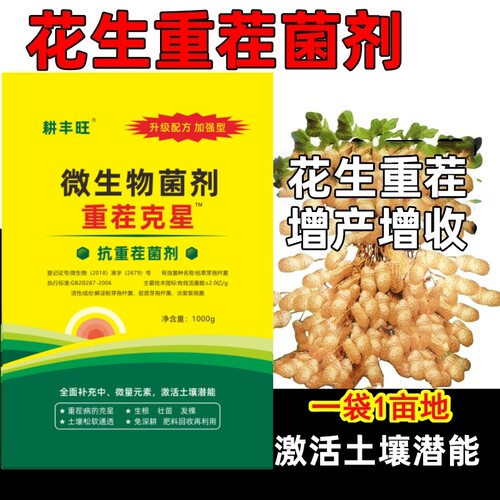 耕丰旺花生重茬剂死苗烂根