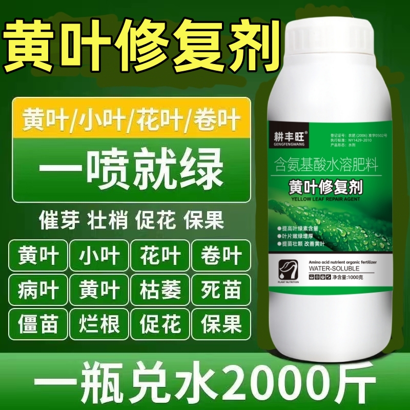 黄叶修复剂一喷绿含氨基酸肥料蔬菜花卉叶绿素叶面肥料黄化修复液