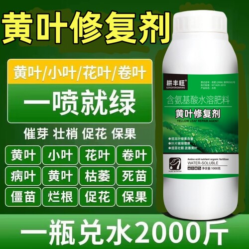 黄叶修复剂一喷绿含氨基酸肥料