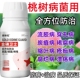 桃树杀菌剂桃树病全治细菌性穿孔病溃疡病流胶病病毒病果腐病正品