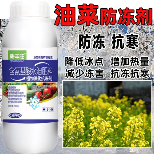 耕丰旺油菜防冻剂油菜防寒抗冻