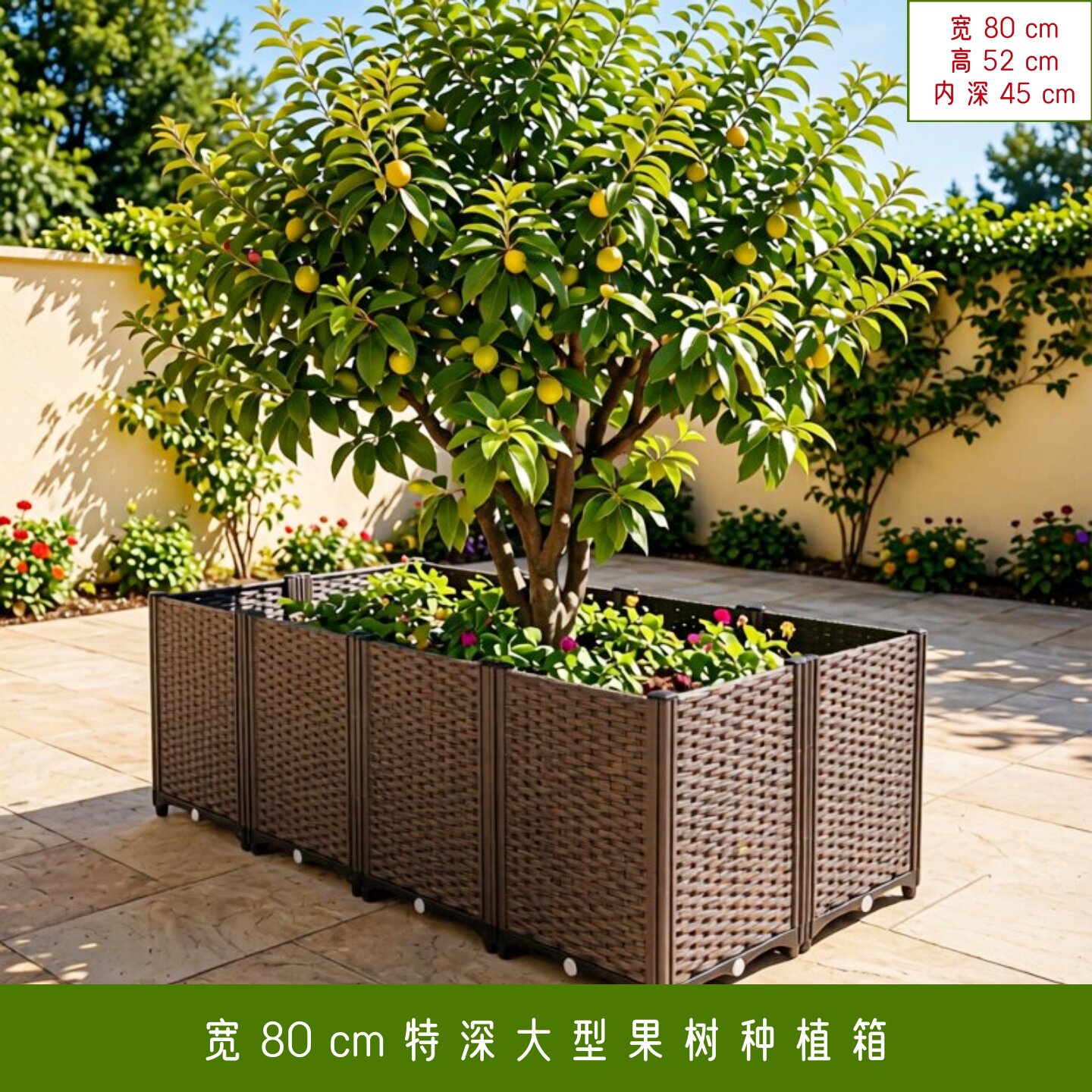 【宽80特深种树箱】九度菜园特大特深花盆种树箱屋顶特大种植箱