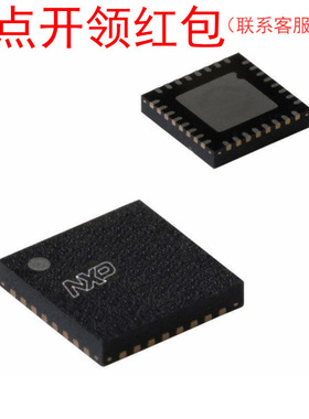 LPC1313FHN33,551  HVQFN-33 NX|P ARM MPU 恩智蒲微处理器=581