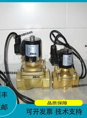 议价维修SLDF潜水电磁阀STDF喷泉电磁阀XSDF防水电磁阀YF水下电磁