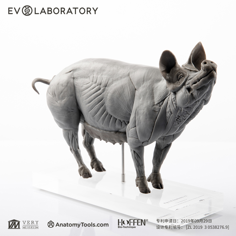 EVOLABORATORY雕像模型艺术摆件