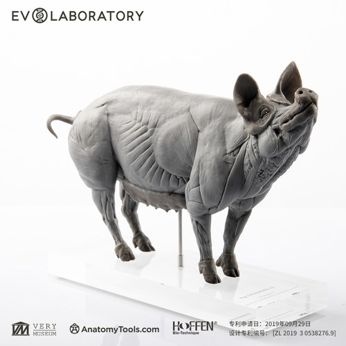EVOLABORATORY雕像模型艺术摆件