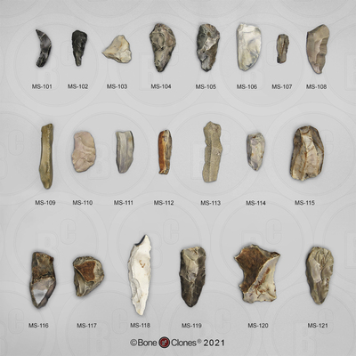 BoneClones定制科教模型