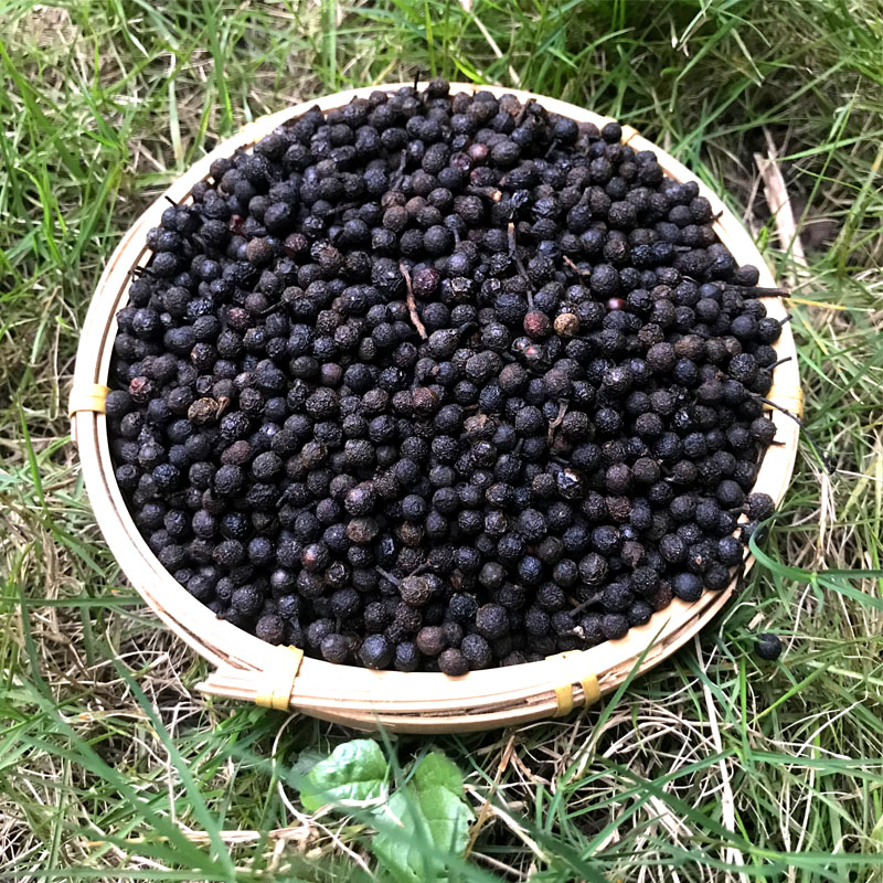 25新货贵州特产高山小木姜子木江子鲜山胡椒晒干山苍子木桨子250g