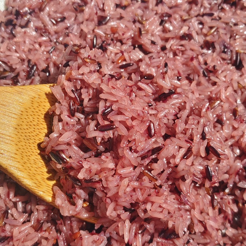 饭团专用米泰国糯米血糯米