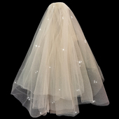 新娘主婚纱头纱抖音同款 闪闪星空头纱网红拍照道具浅香槟头纱头饰