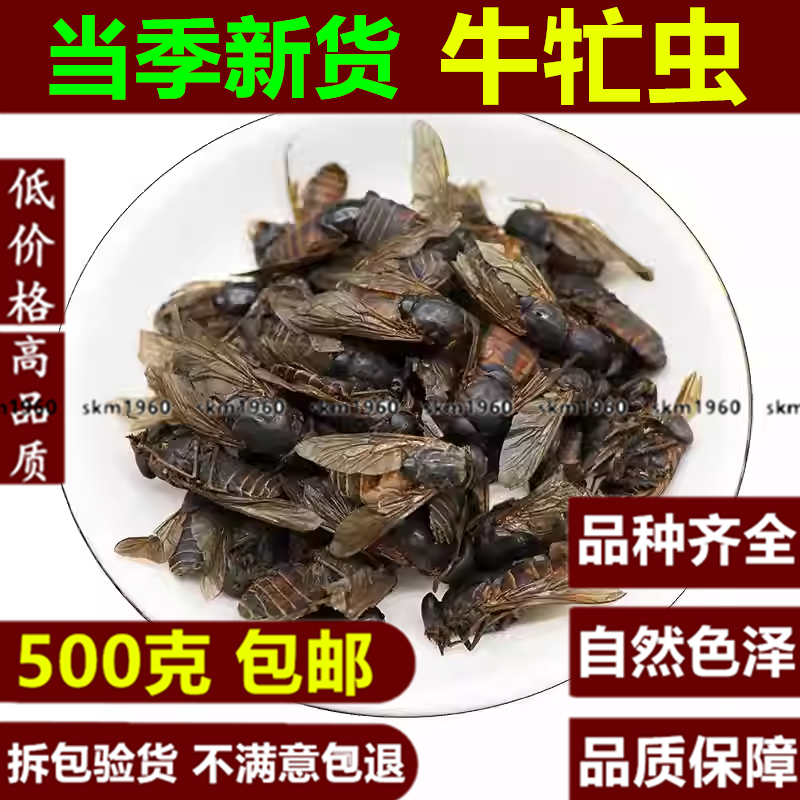 虻虫 中药材精选 正品无硫500克包邮牛苍蝇牛蚊子芒虫 牤虫忙虫