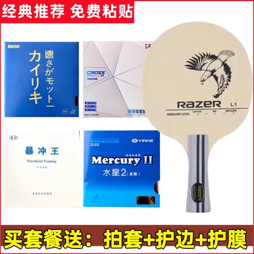 训练专业级乒乓球拍雷蛇初学