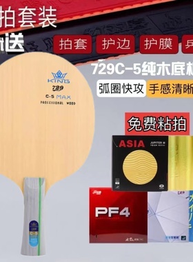 正品友谊729乒乓球底板5层纯木C-5底板全面型初学者专业训练乒乓