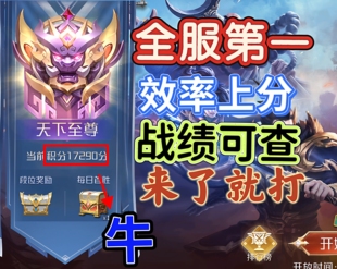 英雄杀决战群雄全服第一\排位王者效率上分/天下至尊/属性皮肤等
