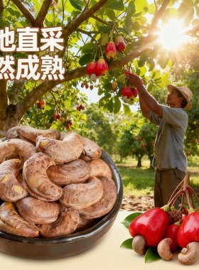 腰果紫皮a160越南紫衣腰果2025头茬新货盐焗优质坚果新鲜健康零食