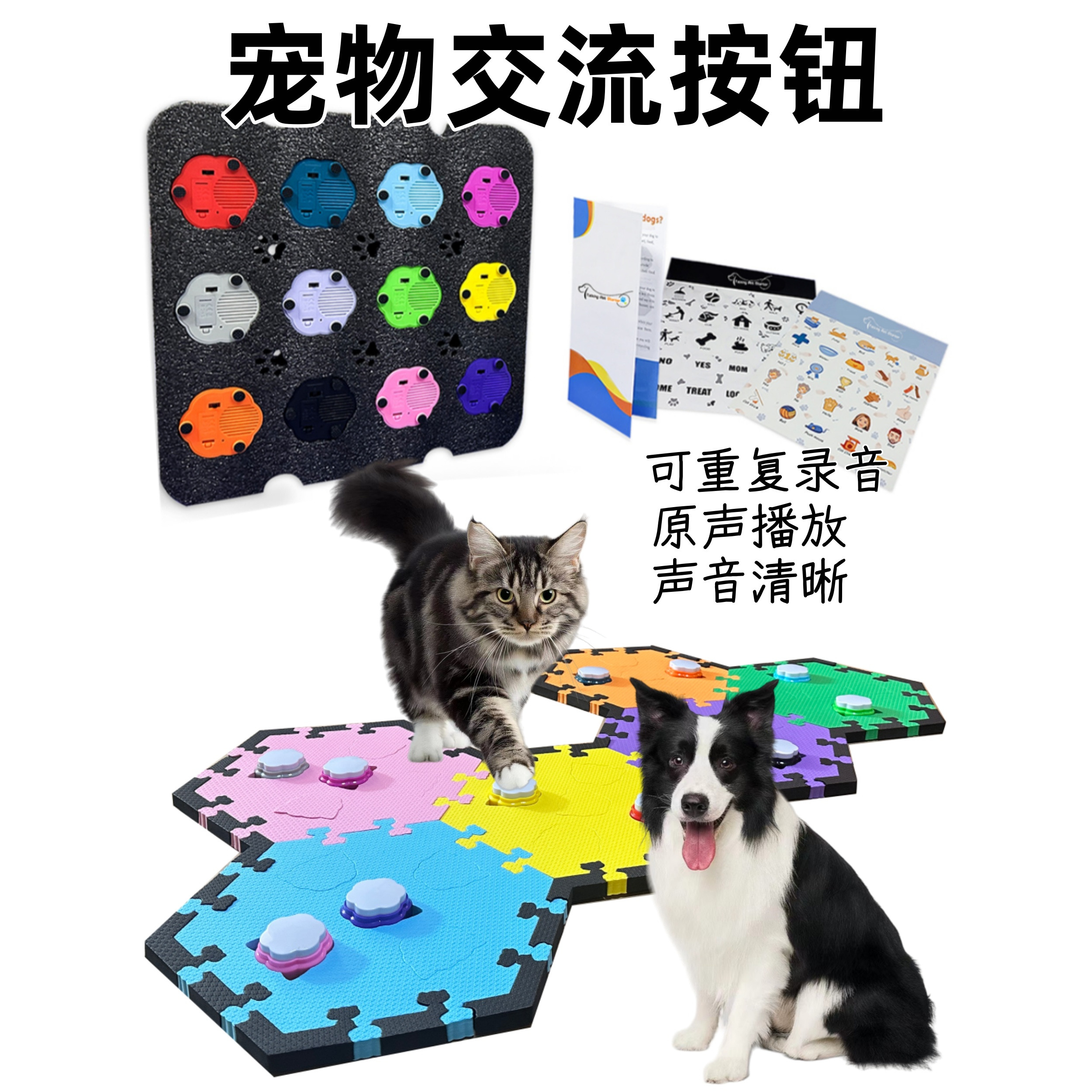 RIBOSY宠物说话按钮智能玩具