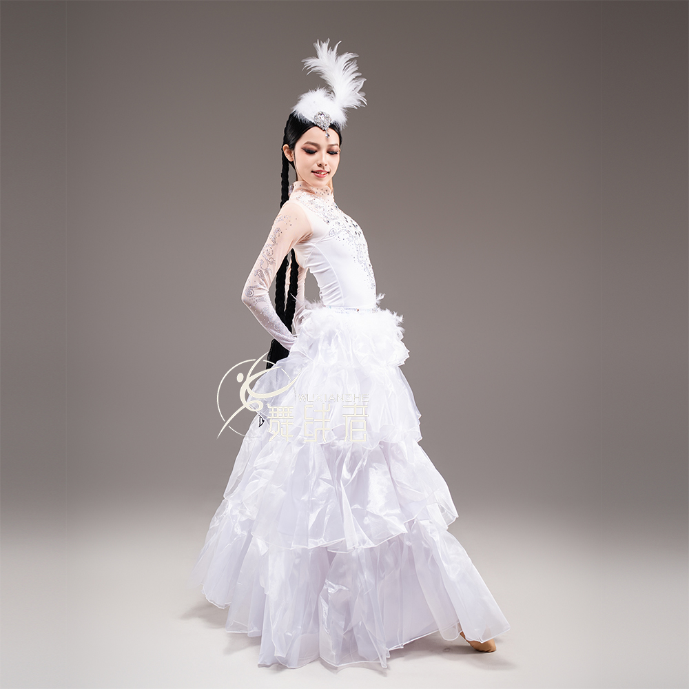 新款天鹅舞蹈服艺考定制