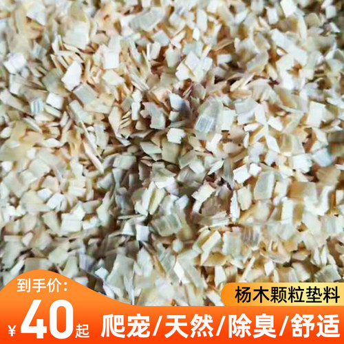 实验动物大鼠10kg包邮木粒