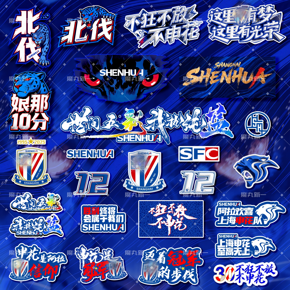 上海申花 PVC反光防水车贴 多种款式 全新设计 球迷文创贴纸周边图片