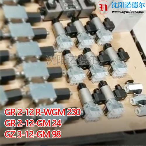GS2-1-G24 德国HAWE哈威代理GS2-1-G24升级成GS2-12-GM24电磁阀