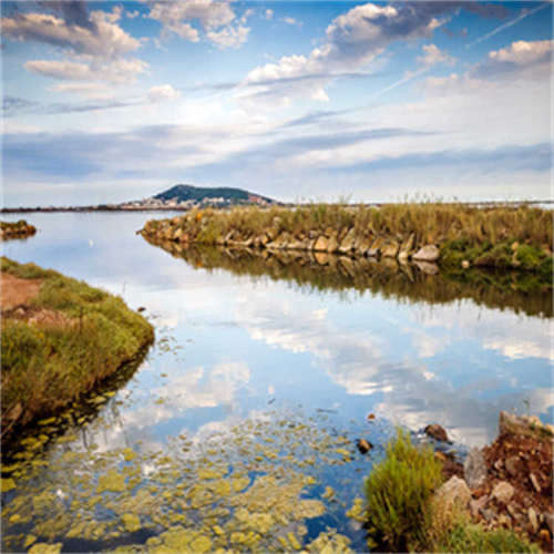 52XM1008XG15SI4.0  DKM/A-1/8 G 1/2 欧洲品牌，原厂直采，价格