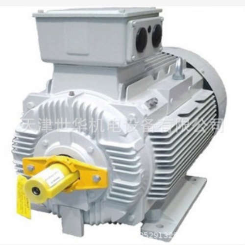 意大利 原装进口VIMEC 电机 ER 016/D4-W 意大利 VIMEC