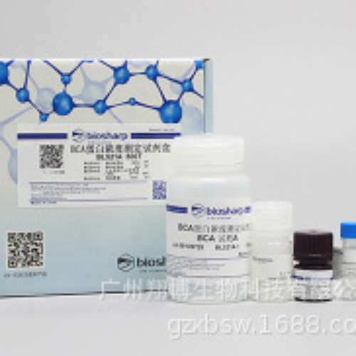 白鲨易(biosharp) BL521A BCA蛋白浓度测定试剂盒 500T