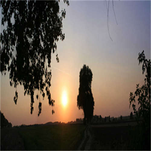 4-VRC /NK_欧洲品牌，原厂直采，价格低廉，报价迅速，货期短，提