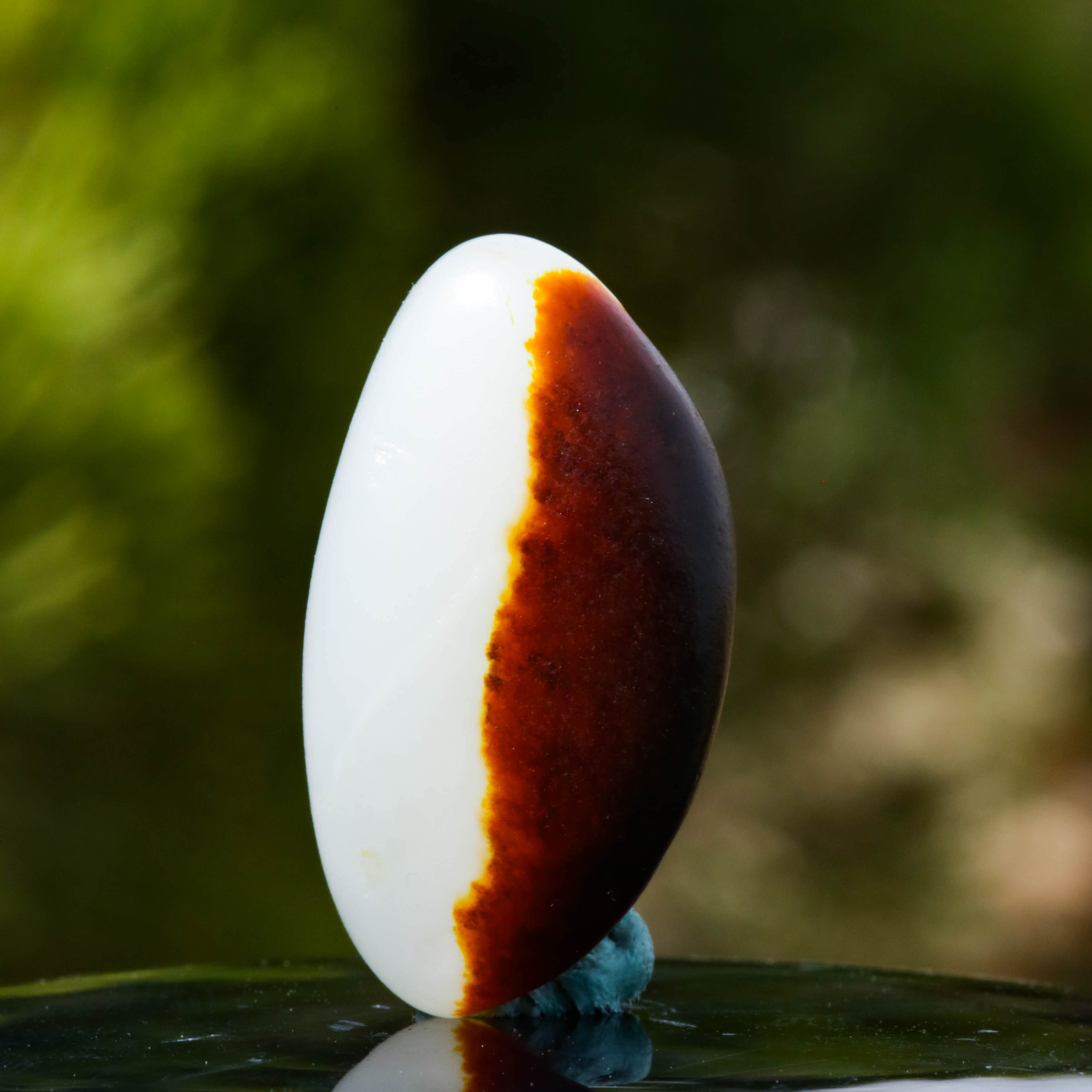 新疆和田玉红皮白肉籽料