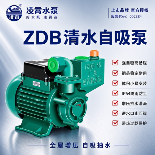 广东凌霄清水泵家用自吸泵高扬程