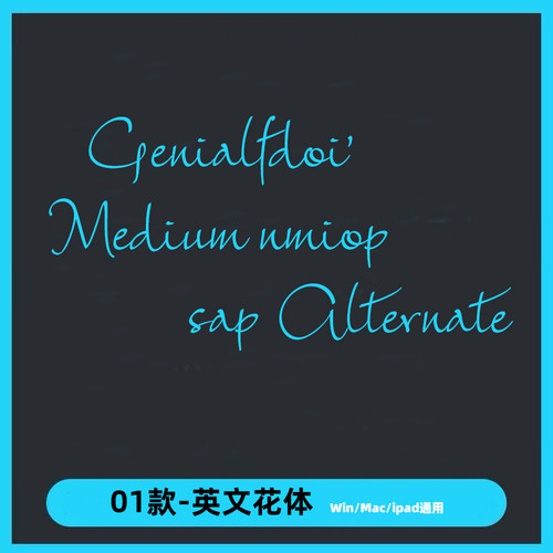 花体风英文字体设计海报ttf 格式Win/Mac/Procreate字体字库AI/PS