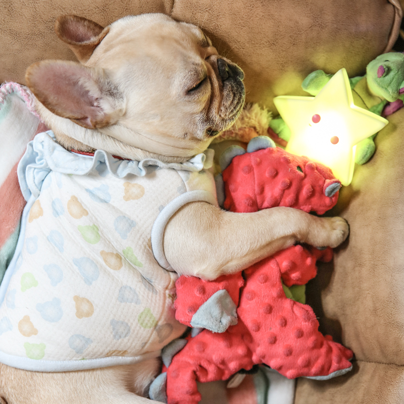 必买出口美国发声玩具法牛飞龙