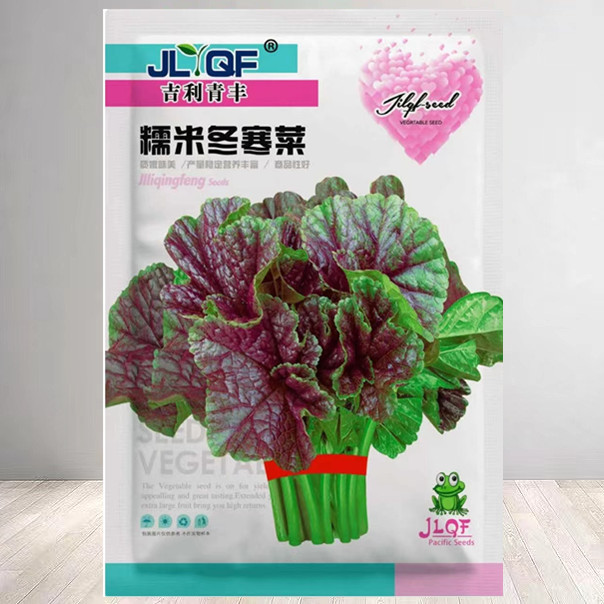 糯米冬寒菜种子红叶大叶冬寒菜蔬菜种子苋菜阳台菜园盆栽均可种植