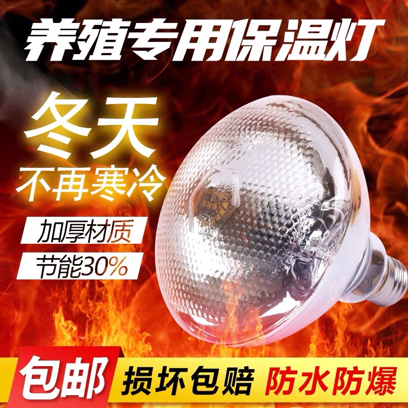养殖场保温马师皇保温灯节能防爆