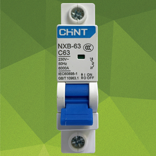 正泰小型断路器NXB-63 1P 63A正泰空气开关 一极 C型 C63正泰空开
