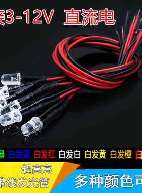 LED发光二极管12V带线灯珠玩具音响汽车DIY改造直插高亮3V小灯泡