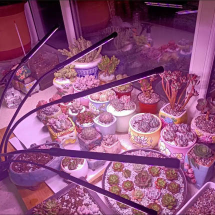 LED植物生长灯全光谱多肉补光灯管带夹USB家用室内上色蔬菜育苗灯