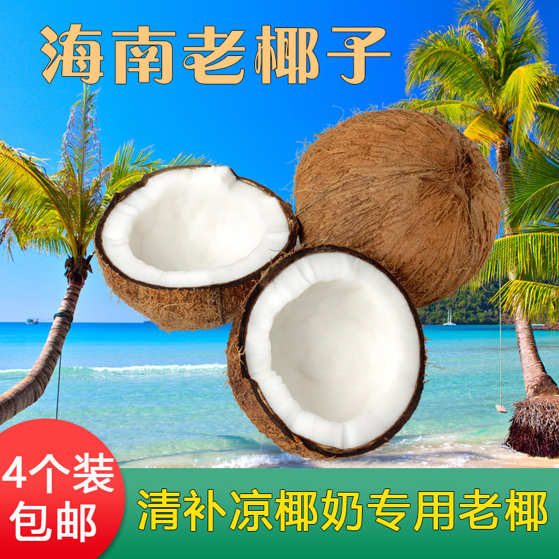 海南清补凉椰奶用老椰子椰青去皮新鲜水果4个装包邮