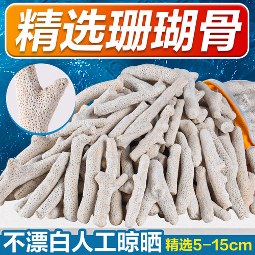 优选大珊瑚骨滤材优质天然珊瑚石鱼缸过滤材料水族箱底砂净水造景