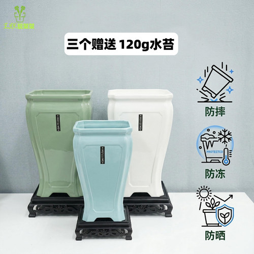 PP树脂材料古典风格光面仿瓷兰盆