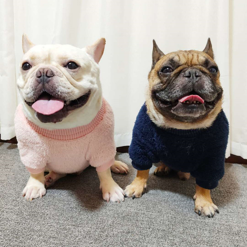 法斗衣服秋冬款斗牛犬巴哥比熊