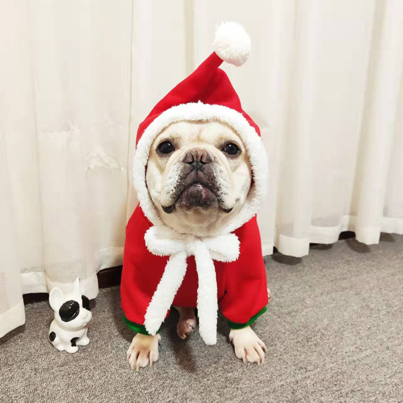 法斗圣诞衣服狗狗冬季巴哥柴犬
