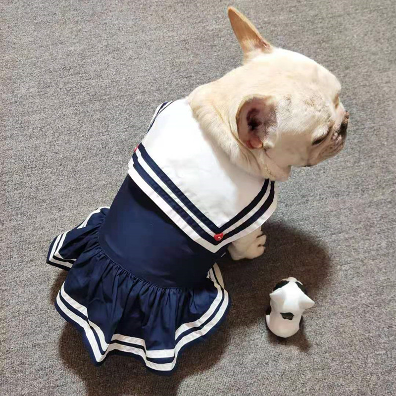 薄款背心巴哥法斗