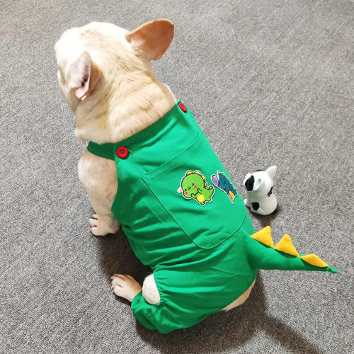 宠物狗狗恐龙四脚衣巴哥犬柯基