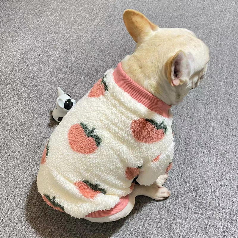 法斗巴哥北极绒加厚保暖棉衣外套