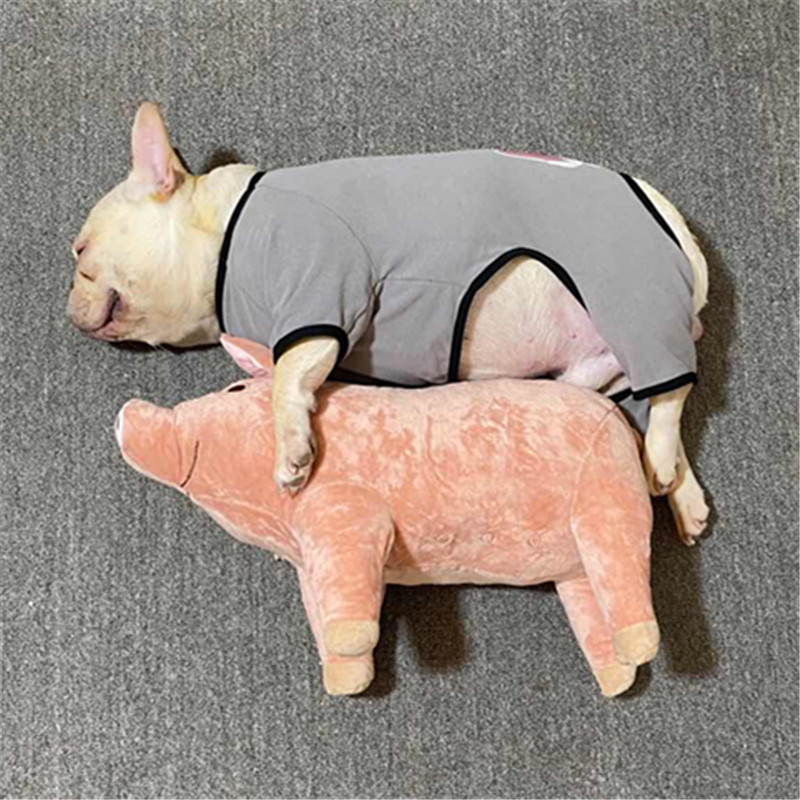 法斗伴侣四脚柴犬柯基陪睡狗狗