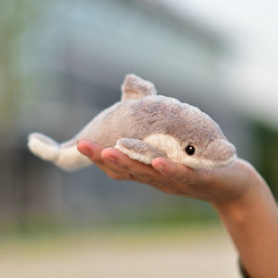 毛绒玩具公仔玩偶 海洋动物 dolphin 仿真海豚冰箱贴 Delphinidae