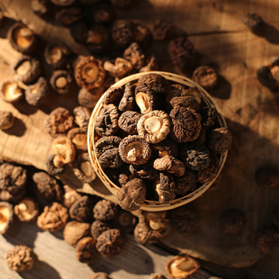 畲乡景宁600高山珍珠菇菌菇特产