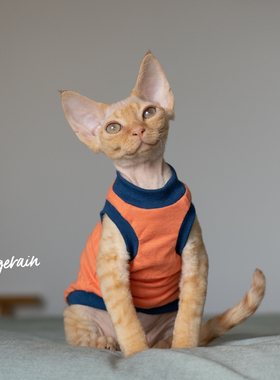 GINGERAIN 德文猫衣服斯芬克斯无毛猫柯尼斯天竺棉全棉薄